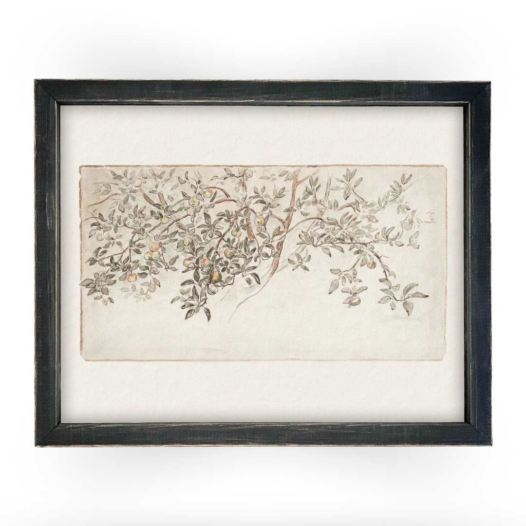 Vintage Framed Citrus Tree