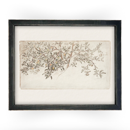 Vintage Framed Citrus Tree