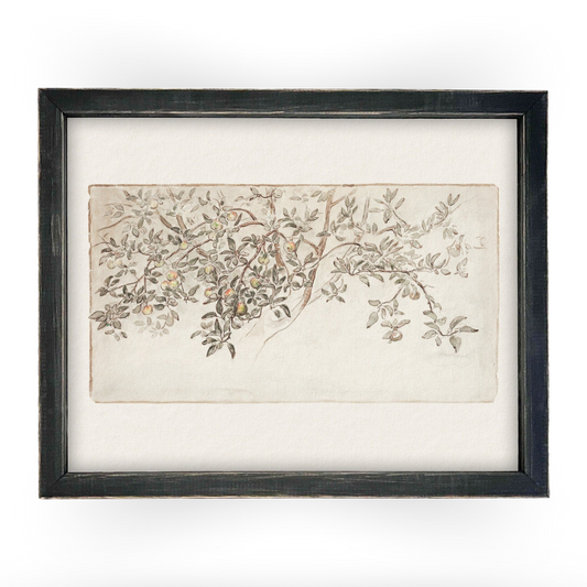 Vintage Framed Citrus Tree
