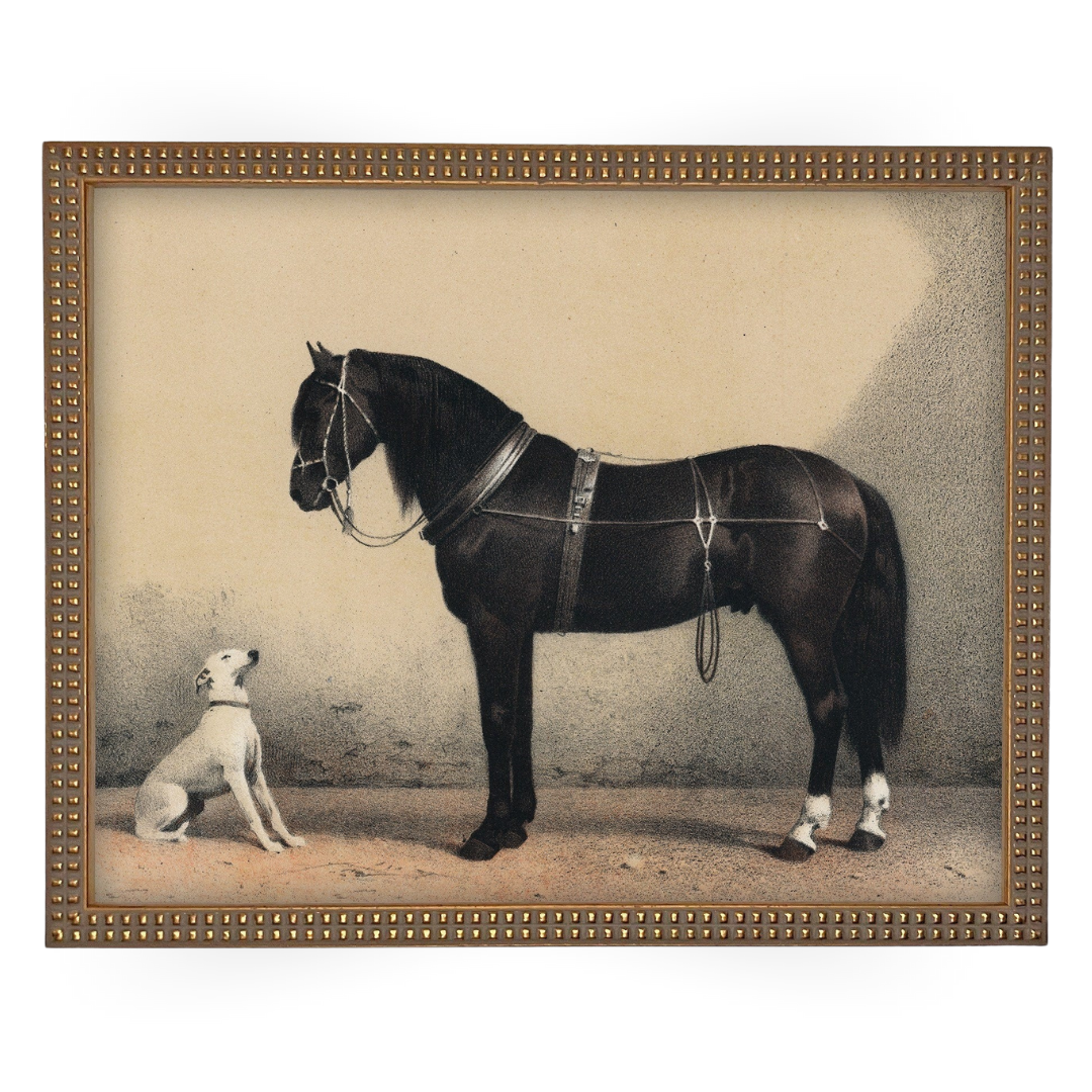 Vintage Framed Horse with Dog Painting