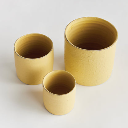 Studio Cachepots
