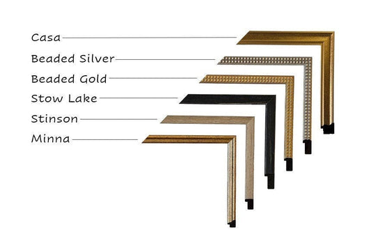 Vintage Framed Black Swan Art