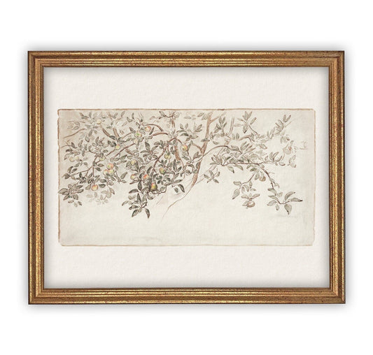 Vintage Framed Citrus Tree
