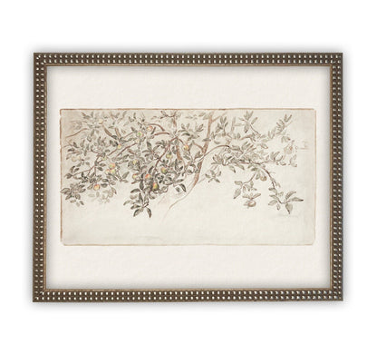 Vintage Framed Citrus Tree