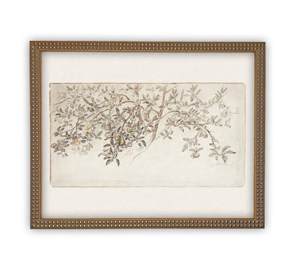 Vintage Framed Citrus Tree