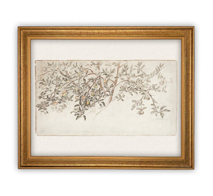 Vintage Framed Citrus Tree