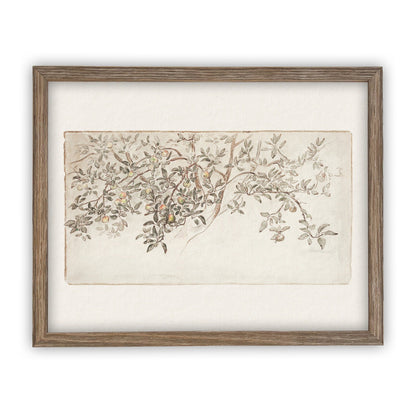 Vintage Framed Citrus Tree