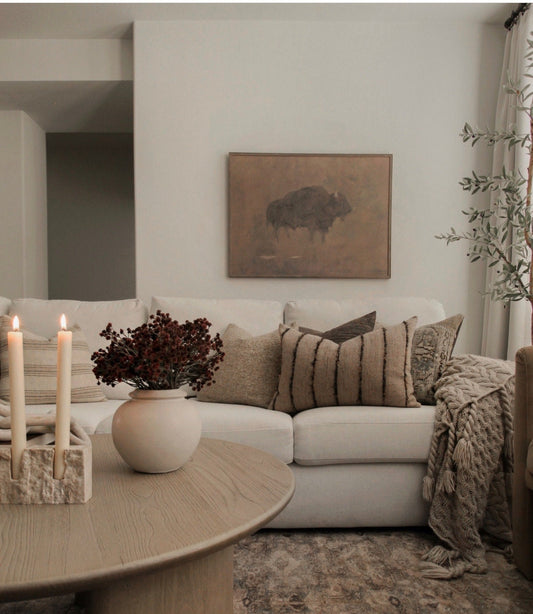 Vintage Framed Bison